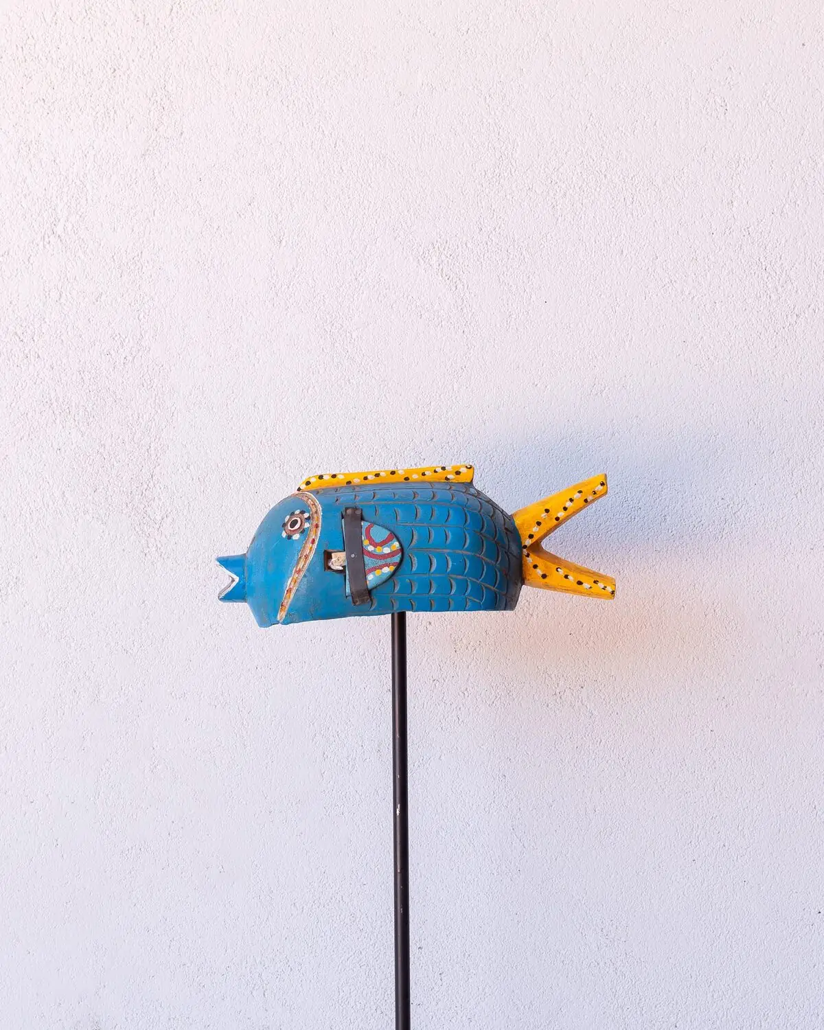 Pez Bozo Mediano