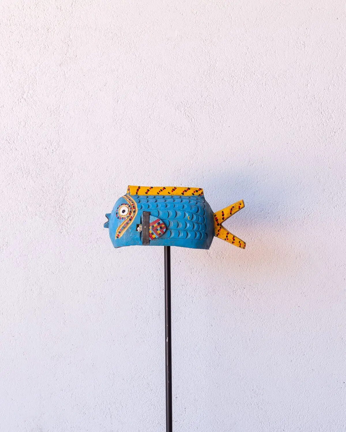 Pez Bozo Mediano