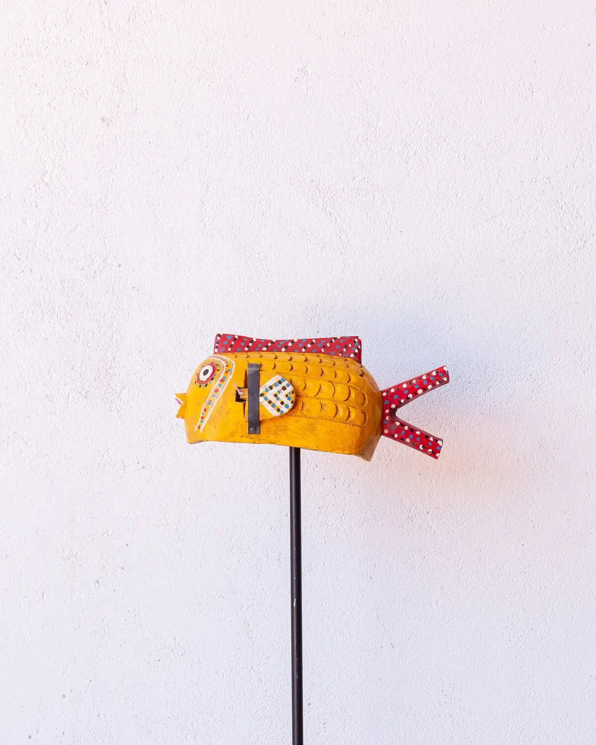 Pez Bozo Mediano