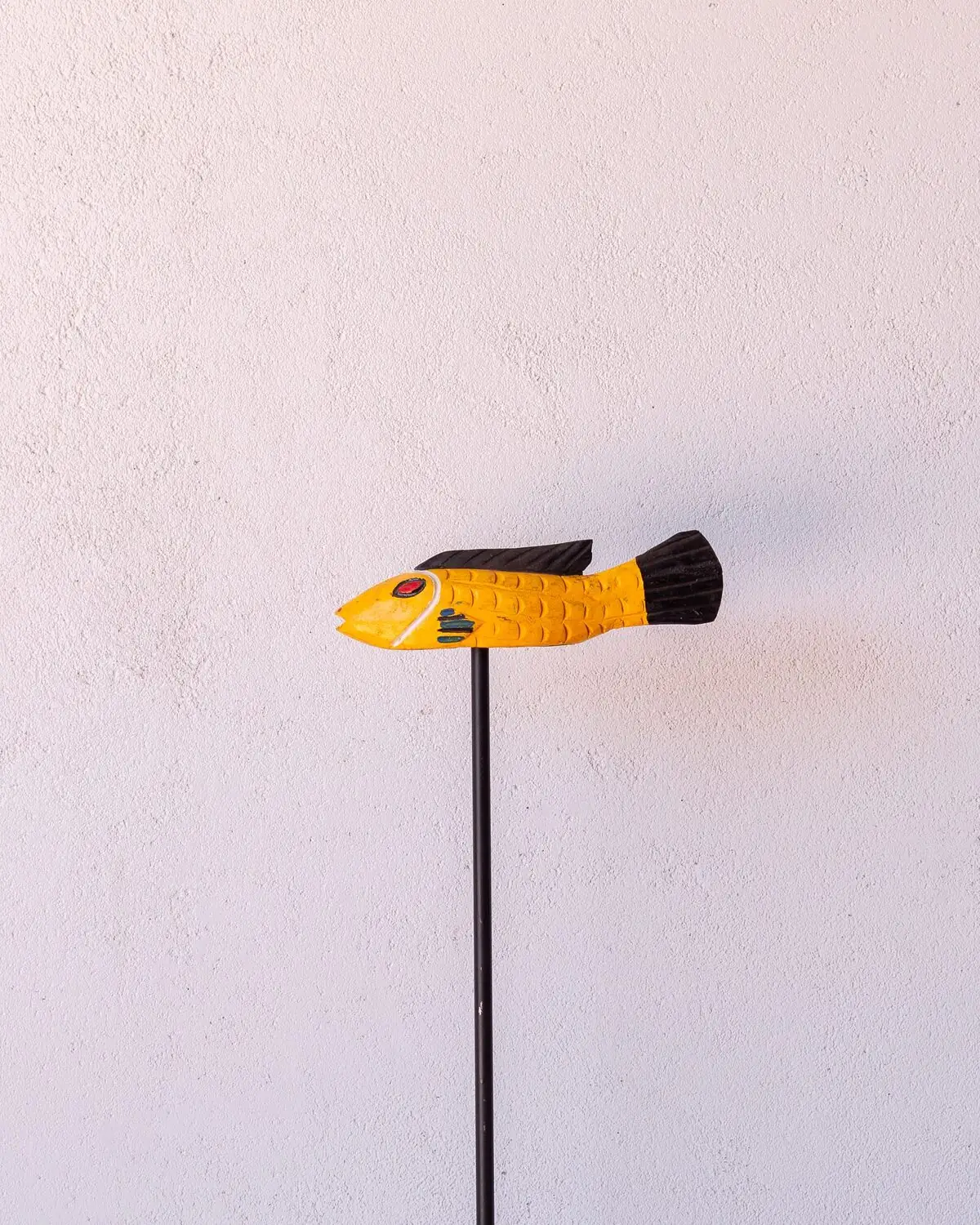 Pez Bozo Pequeño