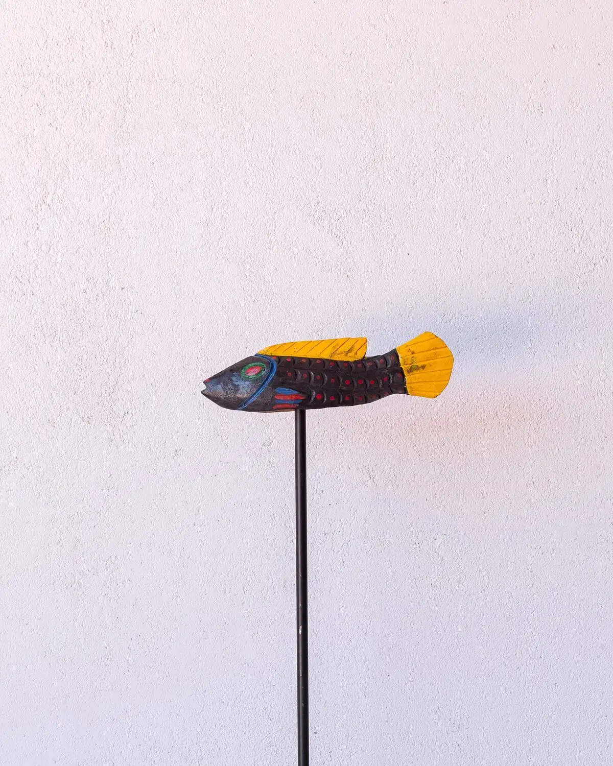 Pez Bozo Pequeño