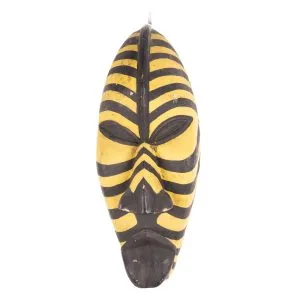 MASCARA RAYAS