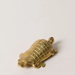 Tortuga plana rejilla opaca