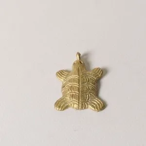 Tortuga de bronce plana con ojos
