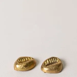 Concha sin anilla (Pack de 2 piezas)