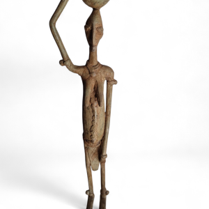 Guerrero Dogon