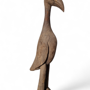 PAJARO DOGÓN
