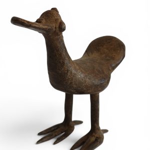 PÁJARO PICO PLANO