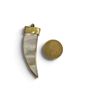 Colmillo nacarado